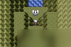 口袋妖怪火红版中奇奇兽的位置在哪里