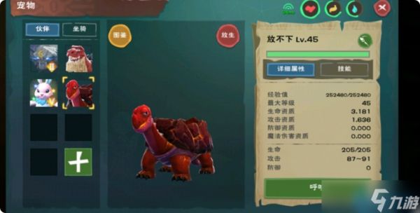 龟饲料全攻略：新手秒变驯龟大师，从入门到精通