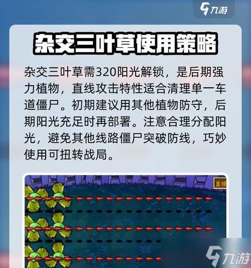 三叶草大作战（三叶草）