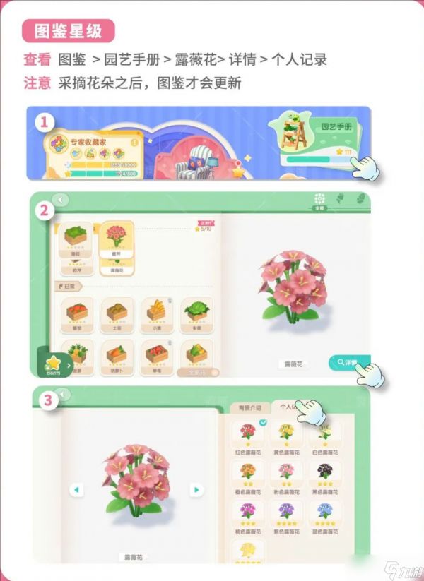 陇上金颂露薇花杂交培育指南