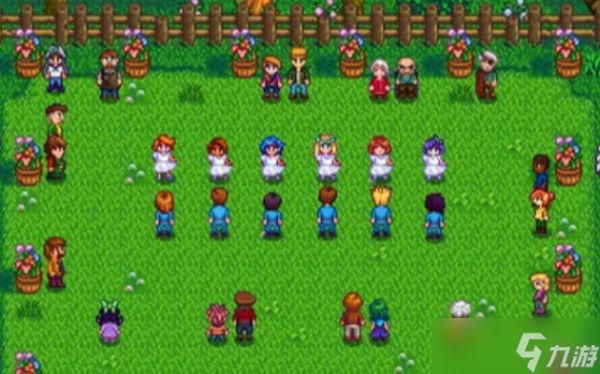 星露谷物语花舞节能做什么