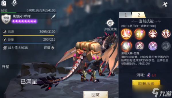 冰原守卫者黑龙和火龙哪个好