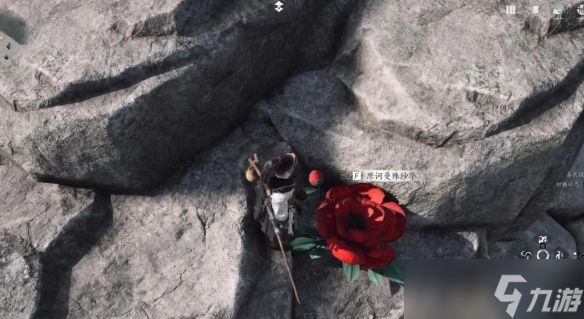 燕云十六声一花中愿任务怎么做 来生岸之一花中愿如何完成