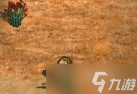 村落人生怎么打猎