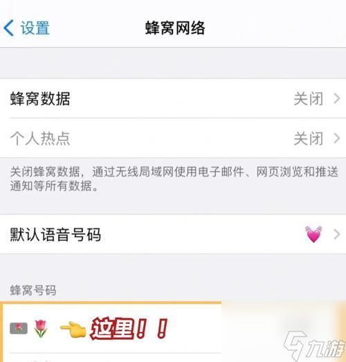 在线隐身设置方法是什么？