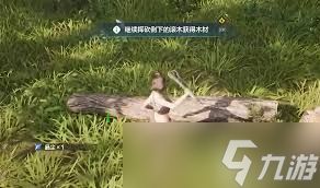 荒野起源超控核心怎么玩