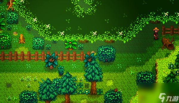 <a id='link_pop' class='keyword-tag' href='https://www.9game.cn/xlgwy/'>星露谷物语</a>神秘森林怎么去