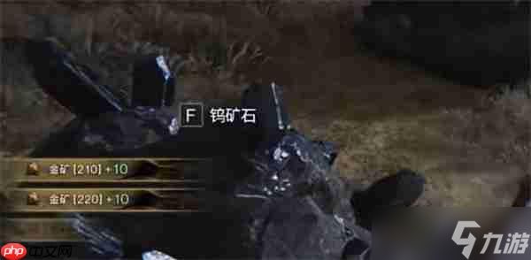 七日世界金矿点位大全