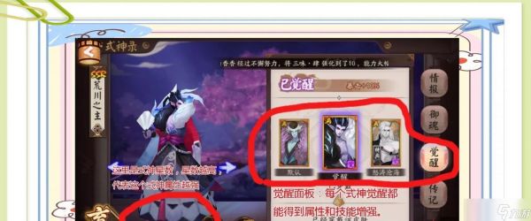 阴阳师中如何收集金皮？有哪些策略？