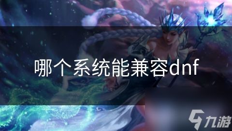 哪个系统能兼容dnf