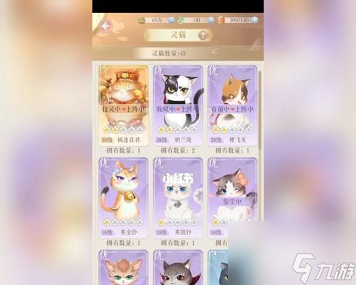 优品灵猫大揭秘(以灵猫传优品灵猫品种为主题的精彩游戏体验和传说)