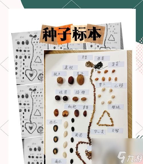 如何在以手工星球中获取种子（探索游戏世界）