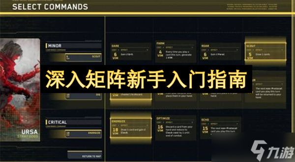 深入矩阵新手入门指南