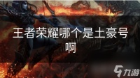 王者荣耀哪个是土豪号啊