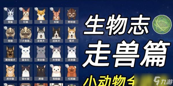 原神柴犬鉴（玩家必读）