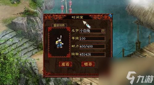 05版大话西游领养孩子需要什么条件？领养后如何培养？