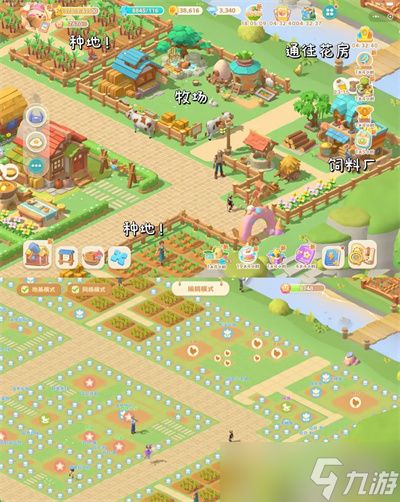 珍珠海大冒险珍珠海营地布局推荐