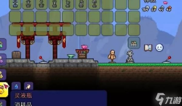 泰拉瑞亚巫医效果