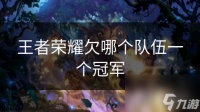 王者荣耀欠哪个队伍一个冠军