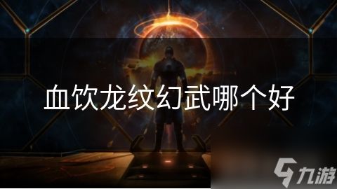 血饮龙纹幻武哪个好