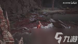 如何收集明末渊虚之羽僰人古都先神之言