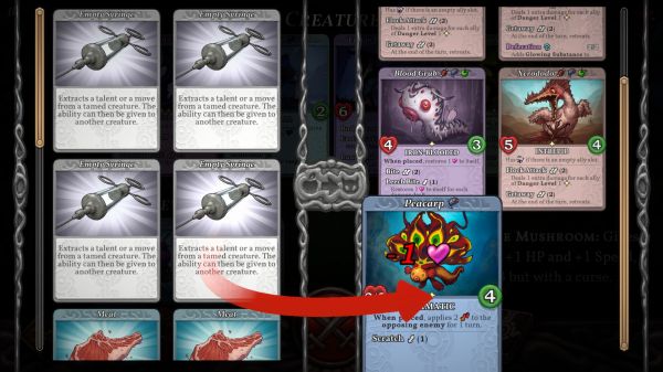 驯牌师什么时候出 公测上线时间预告