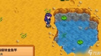 星露谷物语魔法鱼饵玩法