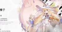 二重螺旋松露技能玩法