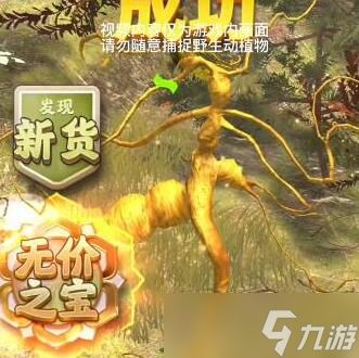 夺笋高手无价之宝攻略