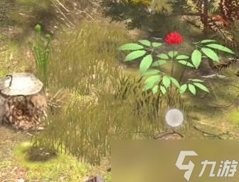 夺笋高手无价之宝攻略