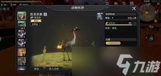 荒原曙光战宠系统如何