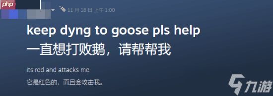 大鹅凶蛮已成国际玩家共识：老外也打不过《燕云十六声》的大鹅
