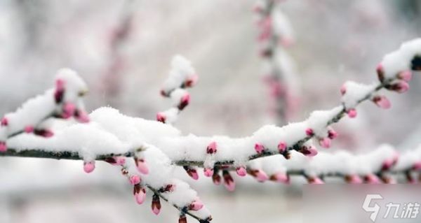 “最怕小雪一日晴”，今日小雪，晴天有啥预兆？为何怕？答案来了