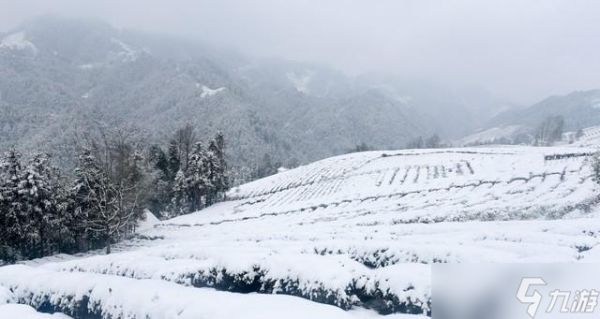 “最怕小雪一日晴”，今日小雪，晴天有啥预兆？为何怕？答案来了