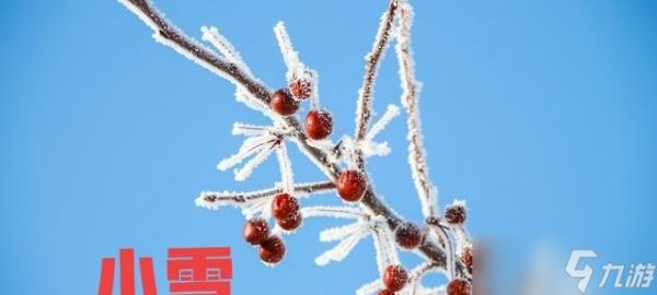 “最怕小雪一日晴”，今日小雪，晴天有啥预兆？为何怕？答案来了