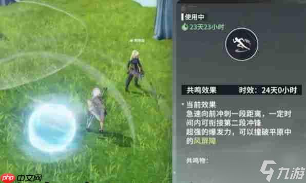 星痕共鸣风核该怎么使用-星痕共鸣风核介绍