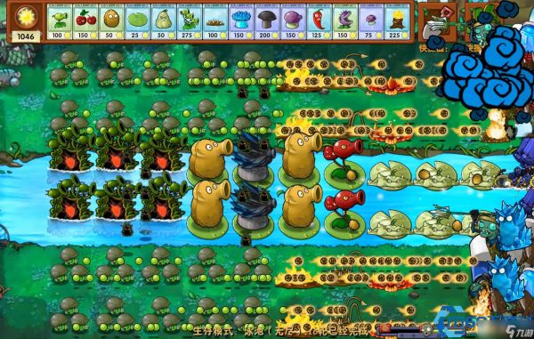 植物大战僵尸经典关卡通关攻略：低成本高收益阵容搭配