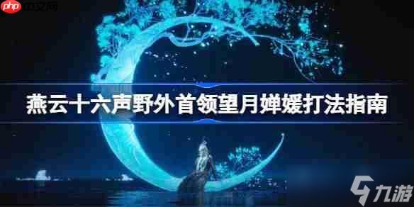 燕云十六声野外首领望月婵媛该怎么打-燕云十六声野外首领望月婵媛打法指南