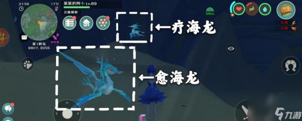 创造与魔法小龙虾（用创造力与魔法探索无限可能）