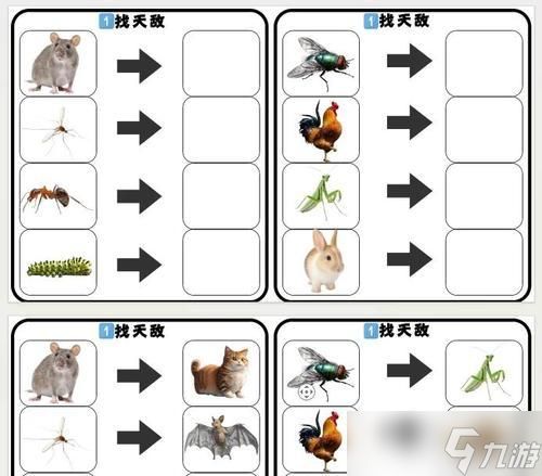 华尔街母狼游戏攻略(探索不同路线解密华尔街母狼的隐藏玩法)