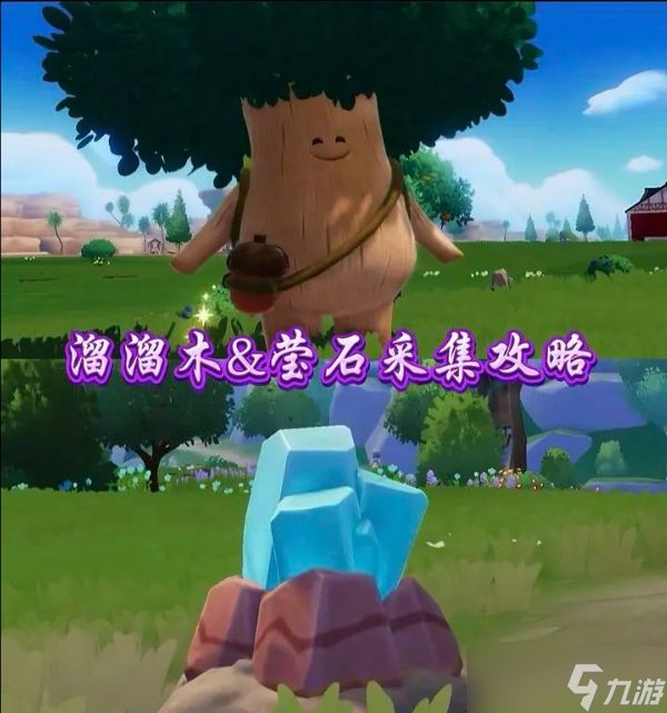 12月1日心动小镇溜溜橡木和无暇荧石位置