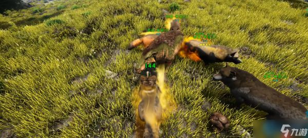 驯服恐狼组建无敌狼群:全面解析实用战斗与探索技巧