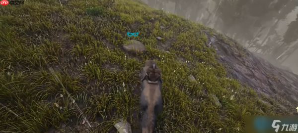 驯服恐狼组建无敌狼群:全面解析实用战斗与探索技巧