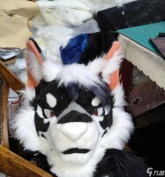 魔兽世界厚狼皮哪里去剥 剥取厚狼皮的最佳地点是哪里