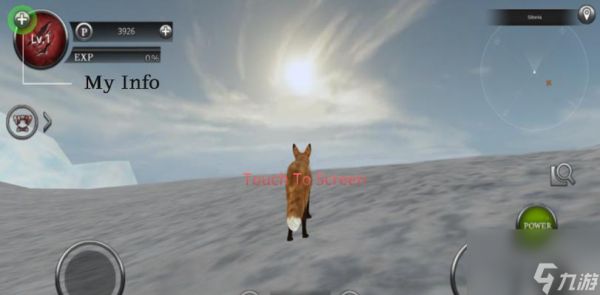 探索丛林法则(打造真实细腻的丛林生存体验)