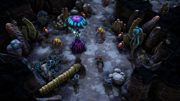 凤凰点什么时候出 公测上线时间预告