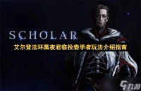 艾尔登法环黑夜君临投壶学者玩法介绍指南