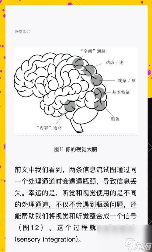 黑白记忆使用方法是什么?如何发挥最大效果?