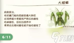 蜡笔小新煤炭镇的小白昆虫在哪