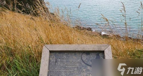 克星新手实用攻略(打造强力角色)